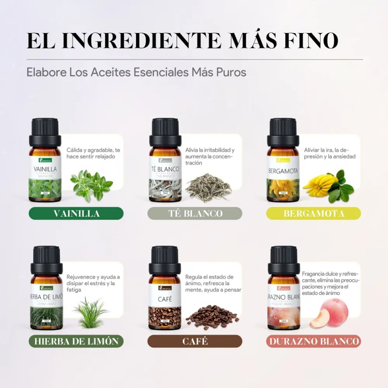 Kaisasa Kit De 12 Aceites Esenciales Aromaterapia Natural Estilo B