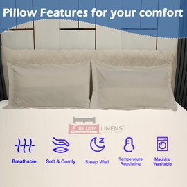 eBeddy Linens Full/Queen Pillow Shams Set Silver Grey Solid Egyptian Cotton Envelope Closure 20x30 Inch with 2" Flange 800-TC Decorative Bed Pillow Cover Pack of 2, Soft Cozy & Breathable