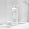 Moroccanoil Moroccanoil Hydrating Conditioner, 33.8 Fl Oz