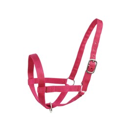 Derby Originals Adjustable Nylon Livestock Cattle Halters Available in Multiple Colors