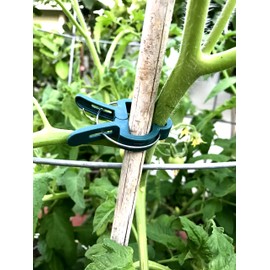 AU Plant Support Clips (40, Large 1 3/4")