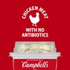 Campbell's Chicken and Rice Soup with Oyster Crackers, 7.35 Ounce
