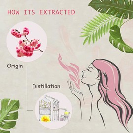 AOPING Cherry Blossom Essential Oil - 100% Pure Organic Natural Plant (Prunus serrulata) Cherry Blossom Oil for Diffuser, Aroma, Spa, Massage, Yoga, Perfume, 0.33oz