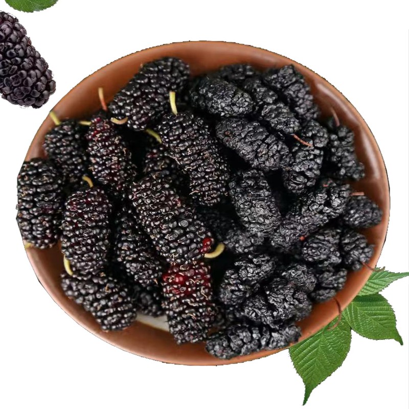 Dried Black Mulberries 14.1oz Black Mulberry Tea Sweet Delicious Dried
