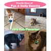 PETFAVORITES Foam Soccer Balls Cat Toys - Pack of 12
