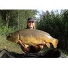 Tandem Baits Perfection Hookers Carp Feed Fishing Food Hook Bait
