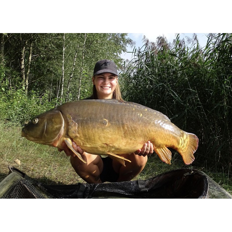 Tandem Baits Perfection Hookers Carp Feed Fishing Food Hook Bait