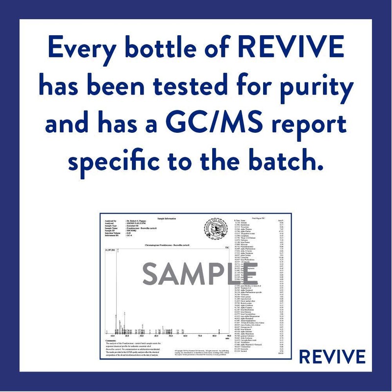 Sleep Essential Oil Blend 30mL by Revive Essential Oils -