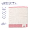 Nishikawa PN3604TW Snoopy Wash Towel, 13.4 x 13.8 inches (34