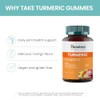 Himalaya Gomitas de C?rcuma, Suplemento Herbal para la Salud Articular