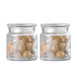 Airtight Small Glass Jars with Lids, 17oz Food Storage Jar Clear Storage Container with Glass Lid for Kitchen Canning, Cereal, Sugar, Beans, Spice, Mason Jars (2 Pack)