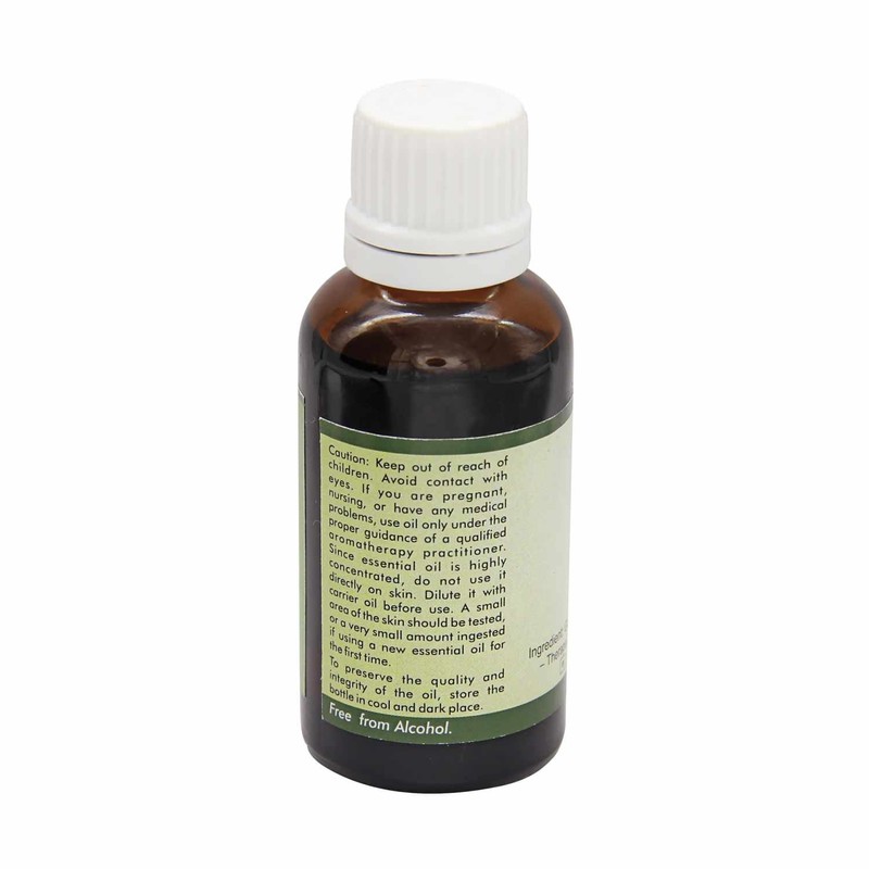 R V Essential Pure Wintergreen Essential Oil 100ml (3.38oz)- Gaultheria