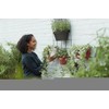 elho Loft Urban Green Wall Pot Single 15 - Flower