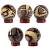 moonsix Natural Septarian Dragon Stone Sculpture Round Ball Sphere with