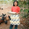 Dokeno Egg Apron Collecting with 12 Deep Pockets, Farm Egg