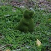 Flocked Animal Statue European Style Handcrafted Resin Simulation Moss Flocked
