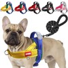 LiebeDD Dog Harness with Lead for Medium Small Dogs Puppies,