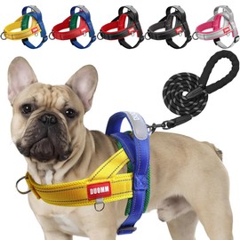 LiebeDD Dog Harness with Lead for Medium Small Dogs Puppies, Colourful Colour Block Harness, Mesh Padded Chest Harness Dog with Handle and Chest Ring, Reflective & Lightweight, Yellow Blue, S