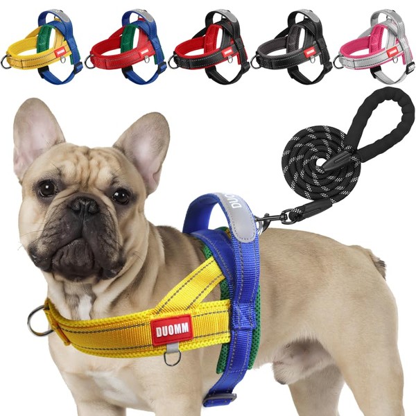LiebeDD Dog Harness with Lead for Medium Small Dogs Puppies,