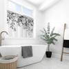 GCIREC Black and White Shower Window Curtain, Watercolor Eucalyptus Leaves