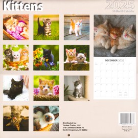 Kittens Calendar 2025 - Deluxe 2025 Baby Cats Wall Calendar Bundle with Over 100 Calendar Reminder Stickers (Cuddly Kitten Gifts, Office Supplies)