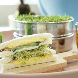 Stainless Steel Sprouting Kit - 7.8 Inch Stackable 3-Tier Sprouting Trays | Round Microgreens Propagator, Sprouter Maker with 2 Mesh Trays, 1 Base, 1 Lid