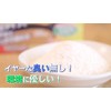 Processing Agent for Cooking, Hardens Evenly, Fine Granules Type, 17.6