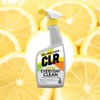 CLR Everyday Clean Multi Purpose Cleaner, Clean Lemon, 22 Ounce