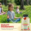 Gomitas Multivitamínicas Premium Para Niños 60 Gomitas