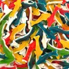 Gummy Sharks Candy Mix | 1 Pound Bag | Assorted