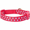 Blueberry Pet 4 Patterns Adjustable Flocking Dog Collar with Detachable