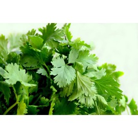 Southeast Seeds Cilantro Seeds (Split), Leisure Coriander, Oriental & Mexican Cuisine, FREE SHIP - 32k Seeds or 1 LB