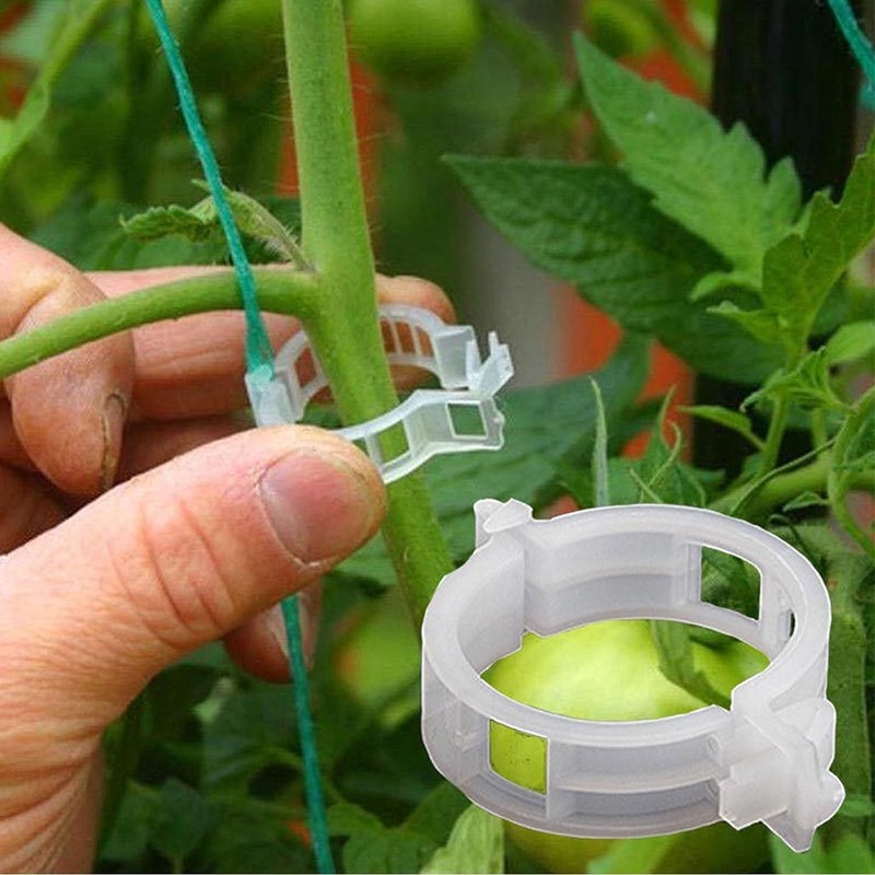 100Pcs White Plastic Trellis Clips Plant Support Clips,Tomato Clip,Cages Plants