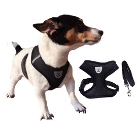 Life Utility XL Black Ventilated Dog Harness for Dogs/Puppies/Cats, with Lead in Various Colours, Pull Protection, Adjustable, Large and Very Large, 5 Colours to Choose From