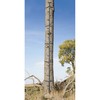 Big Game Treestands Quick Stick 20 Foot Steel Climbing Stick