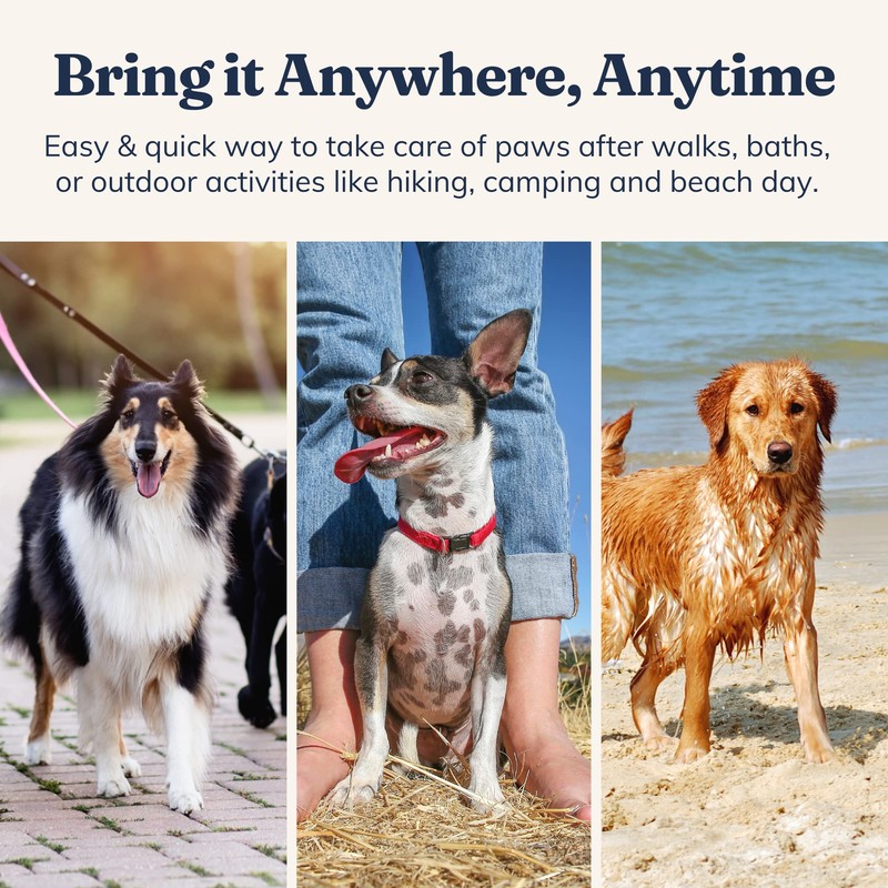 AlwaysPups Organic Paw Balm (1oz Tin)