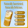Zevia Zero Sugar Soda, Cream Soda, 16 oz Cans (12-Pack)