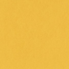 Bazzill Card Shoppe Heavyweight Cardstock 8.5"X11"-Banana Split 25 per pack