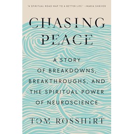 Chasing Peace: A Story of Breakdowns, Breakthroughs, and the Spiritual Power of Neuroscience