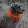 USB Rechargeable LED Dog Collar, Glow in The Dark Led