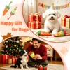 Sagildoq 2 Pack No Stuffing Dog Toys with Squeaker, Crinkle