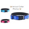 Strong Bright Reflective Dog Puppy Collar, Soft Padded Lightweight, Fully