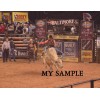 JARED FARLEY ACTION PBR PROFESSIONAL BULL RIDING 8" by 10" PHOTO