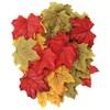 Craft Leaves - Pack of 50