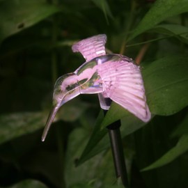 QIDEA - Lámpara solar para jardín al aire última intervensión, lámpara de estaca LED decorativa que cambia de color, iluminación de paisajismo en el piso, para jardín, patio, césped, camino, flores, decoración de cama, figurita, colibrí