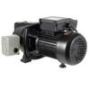 WUSILILU 3/4HP Shallow Well Jet Pump Self-Priming w/Pressure Switch, 110V