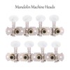 Mandolin Machine Heads, 8 String Guitar Tuning Pegs String Tuning