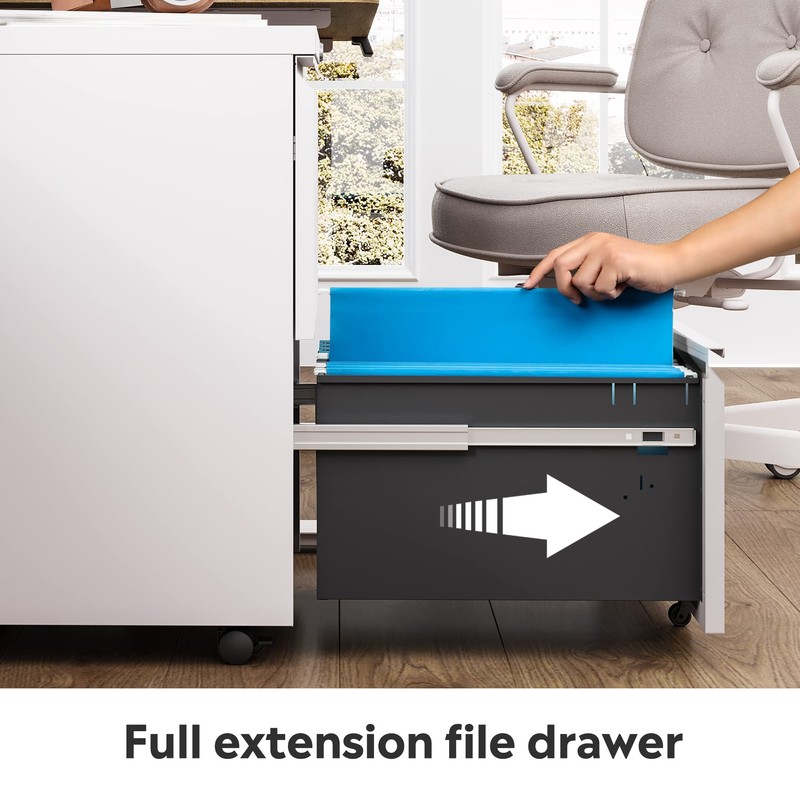 DEVAISE 2 Drawer Mobile File Cabinet with Lock, Commercial Vertical