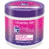 Fantasia Curly & Coily Leave-in Conditioner, 16 Ounce