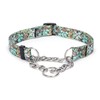 Bbmmayy Martingale Collar, Training Dog Collar, Stainless Steel Chain Pet